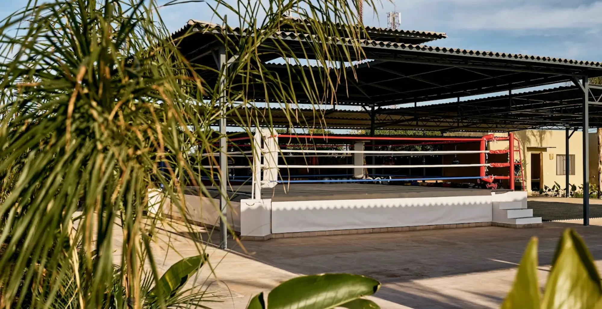 Deux séances quotidiennes adaptées à votre niveau