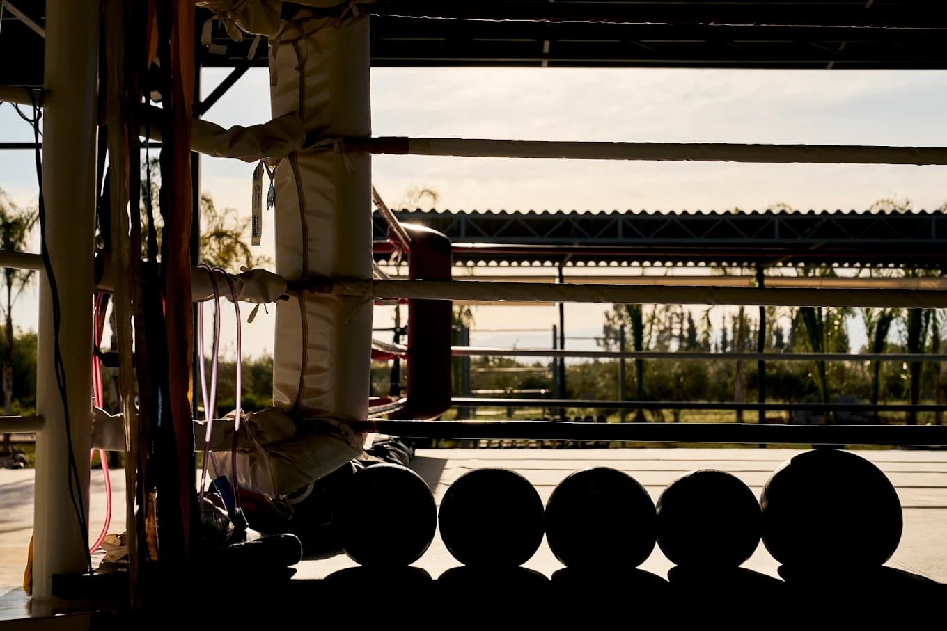 Un coaching personnalisé et un suivi sur-mesure