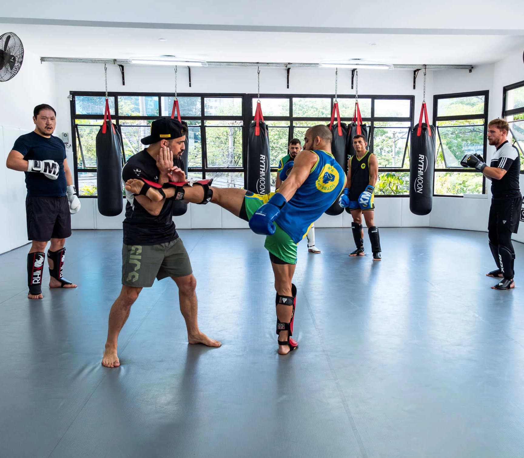 MMA dans l'antre brésilien - Image principale