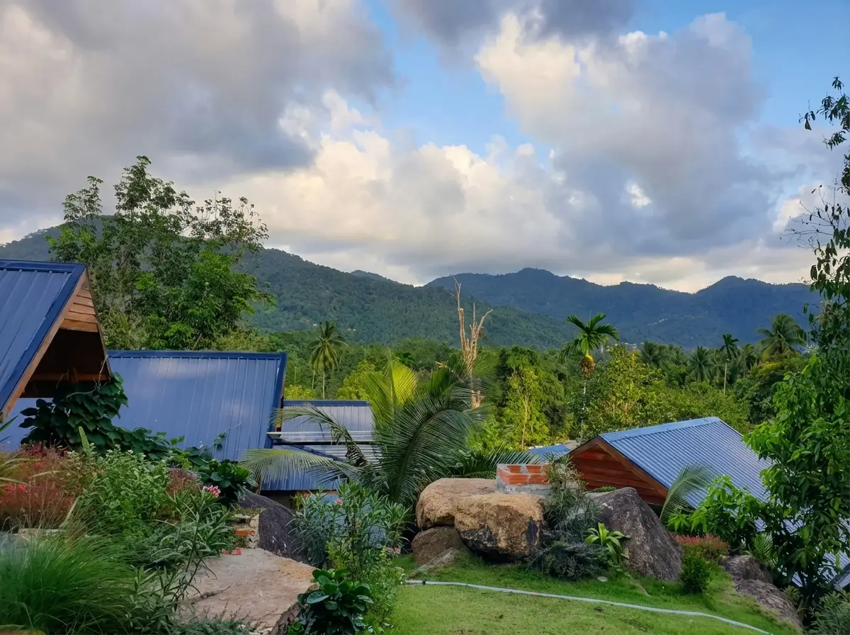 Réveil & course matinale