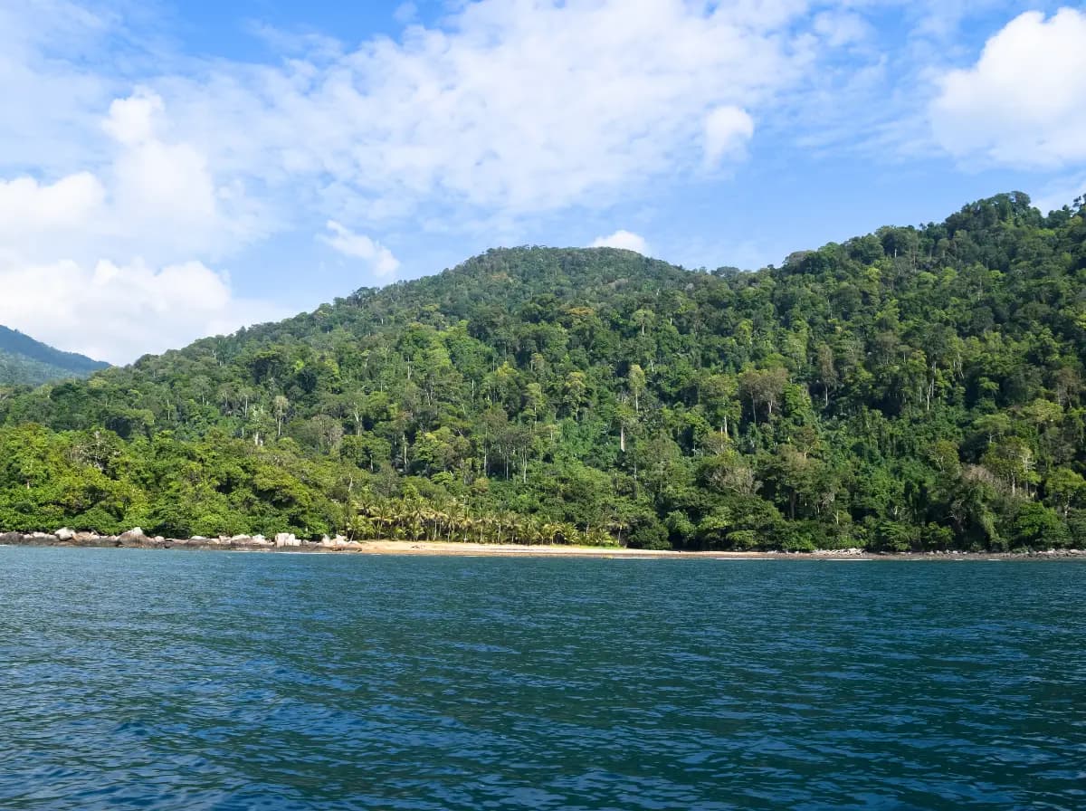 Immersion en pleine jungle tropicale sur la superbe île de Koh Phangan