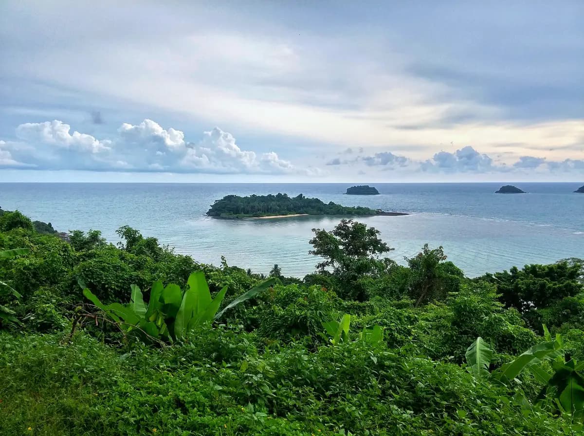 Collation ou déjeuner & balade ou vistite