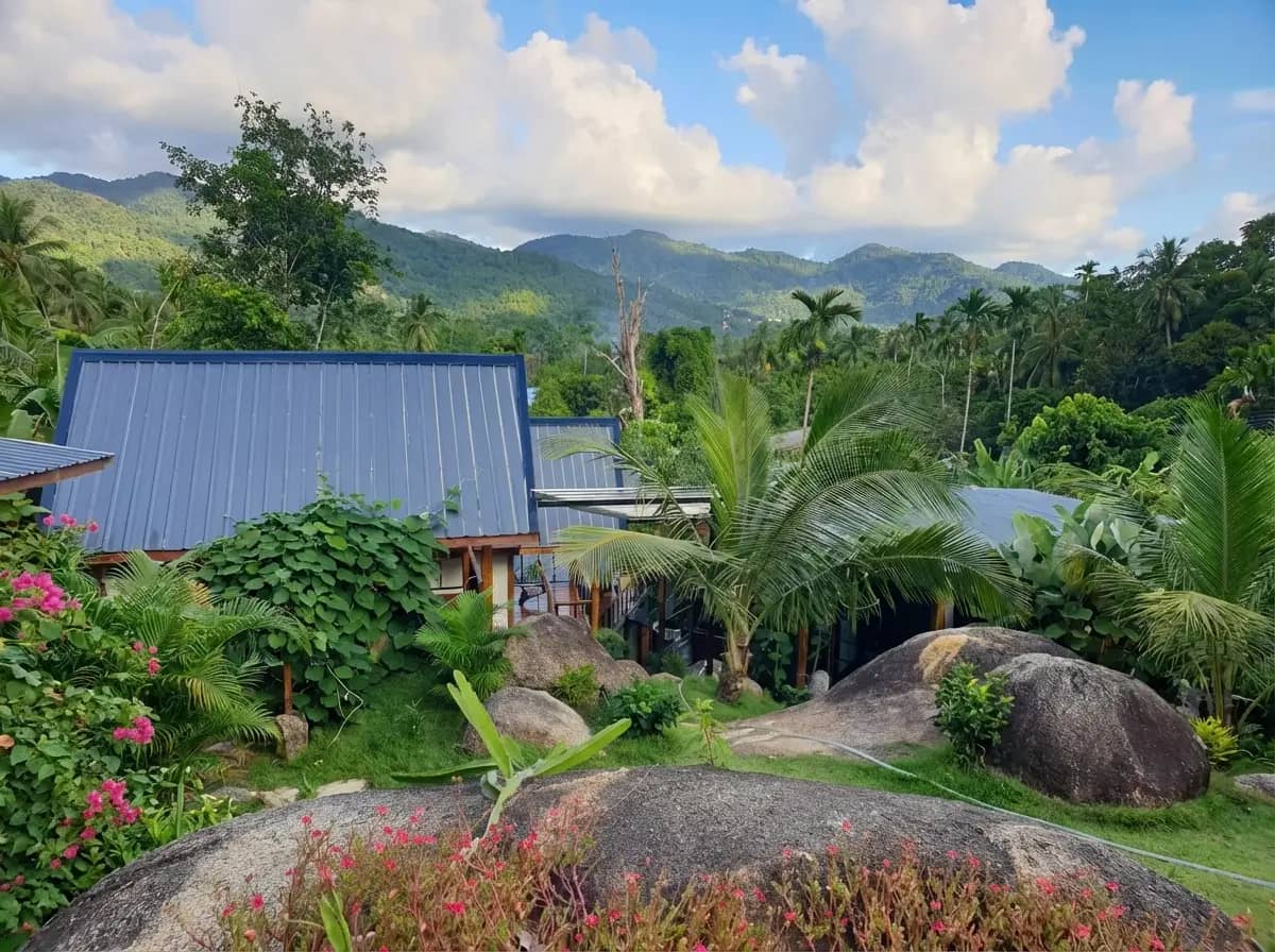 Muay Thaï en pleine jungle