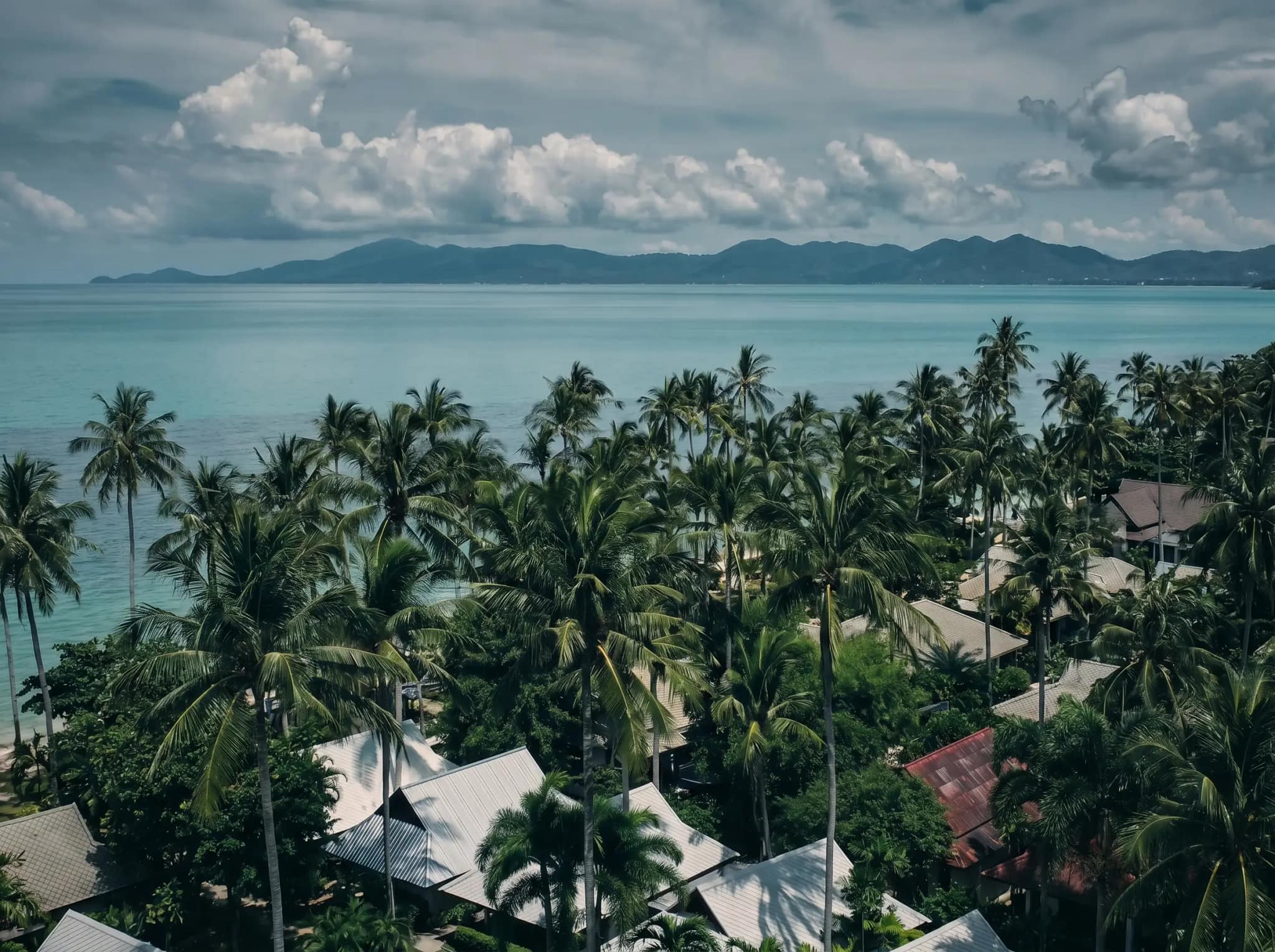 Muay Thai sur l'île de Koh Samui