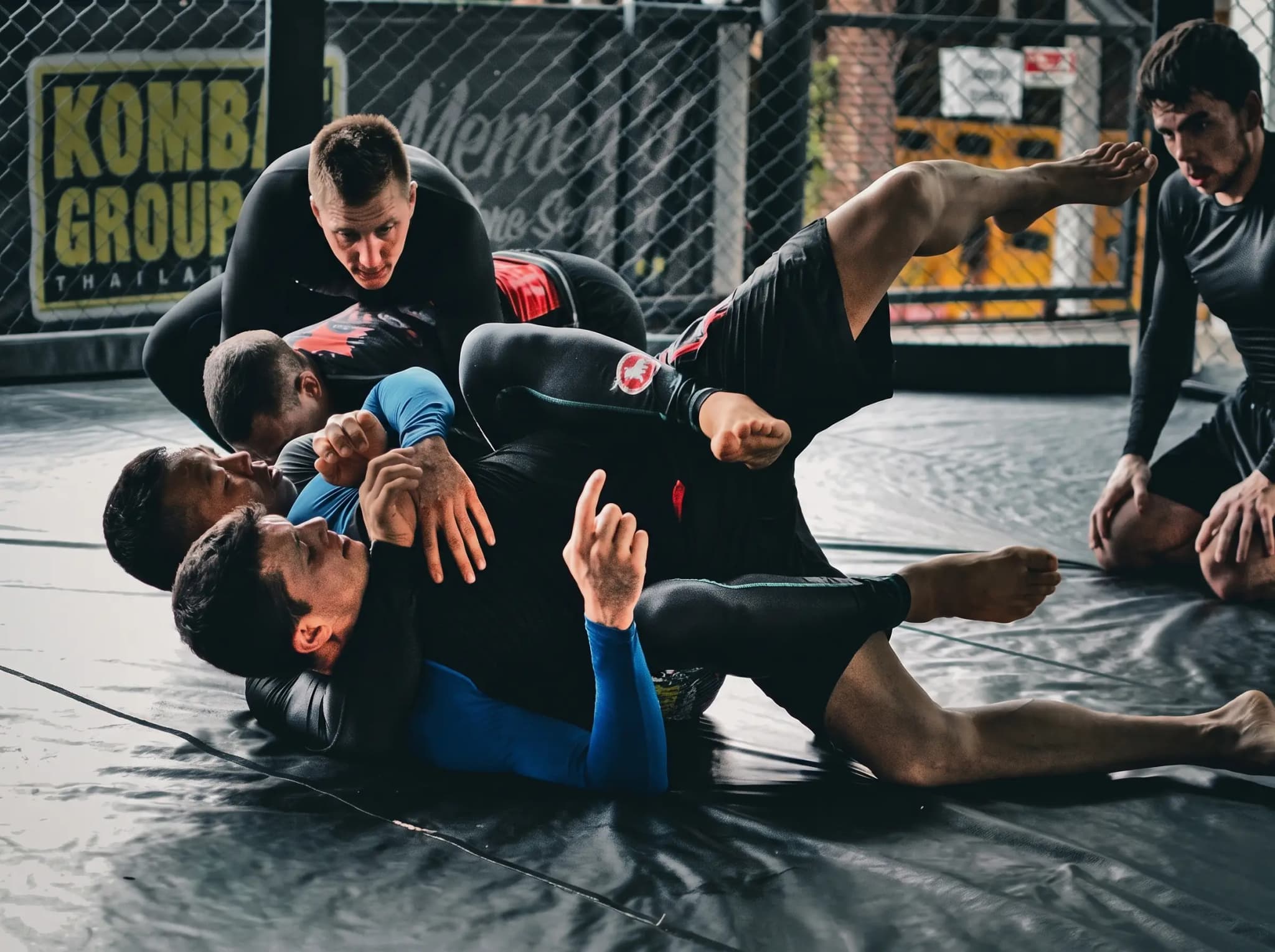 MMA entre cage et tatami