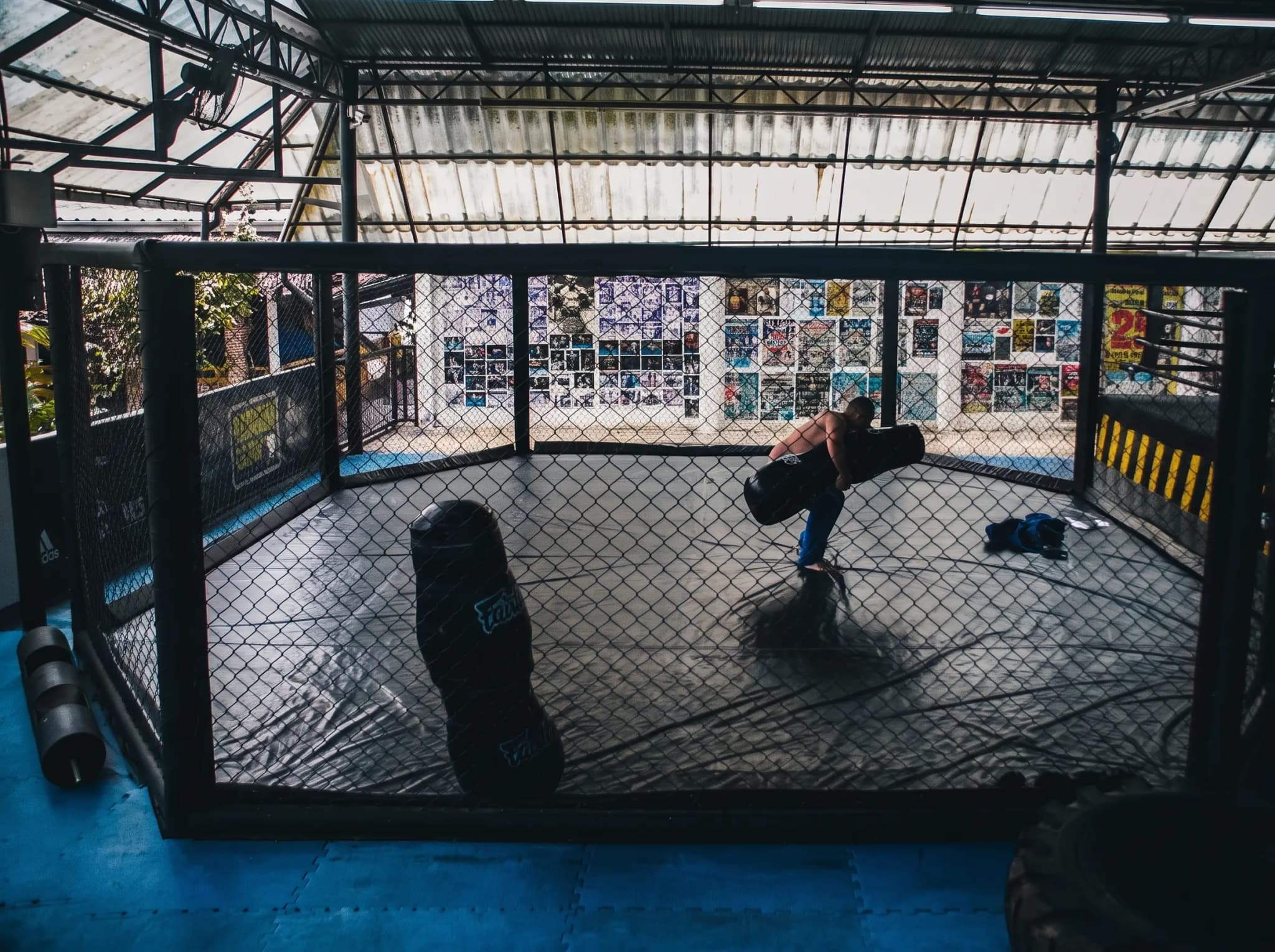 MMA entre cage et tatami